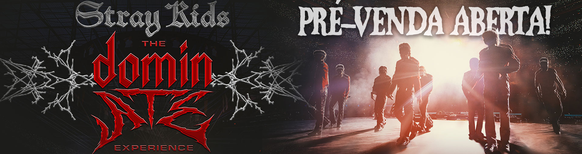 Stray Kids: The dominATE Experience